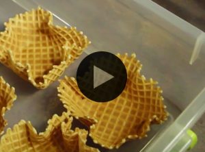 Store Waffle Cones